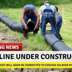 Obrázek 'kralovec4'