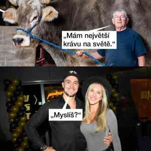 Obrázek 'krava1'