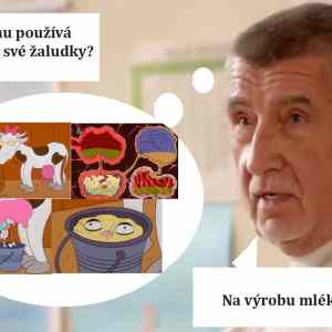 Obrázek 'krave'