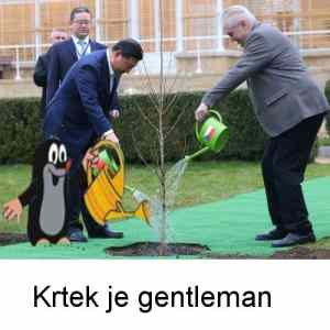 Obrázek 'krtek gentleman'
