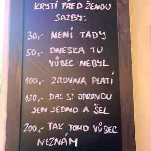 Obrázek 'kryti'