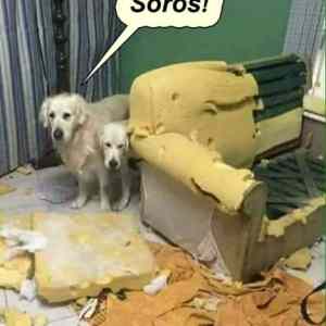 Obrázek 'kto&nbsp;to&nbsp;udelal'