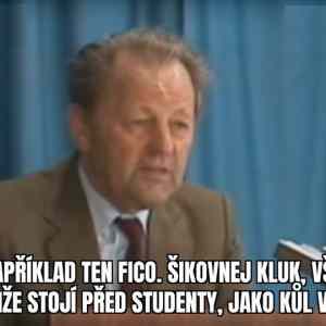 Obrázek 'kul v plote'