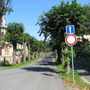 Obrázek 'kvidenivcr04'