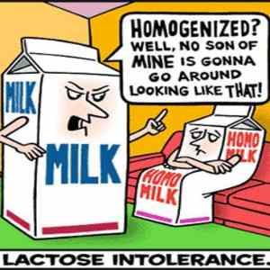 Obrázek 'lactose intolerance'