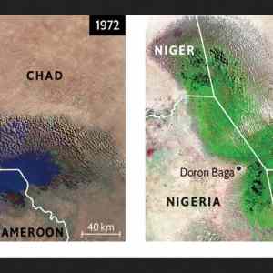 Obrázek 'lake Chad vs desert virgin'