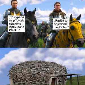 Obrázek 'lapkovske hnizdo'