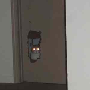 Obrázek 'laser eyes'