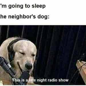 Obrázek 'late night'