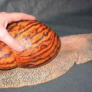 Obrázek 'le&nbsp;big&nbsp;snek'