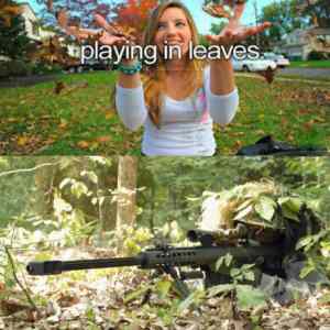 Obrázek 'leaves play'