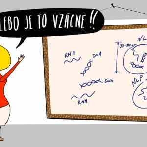 Obrázek 'lebo je to vzacne'