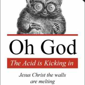 Obrázek 'lemur acid'