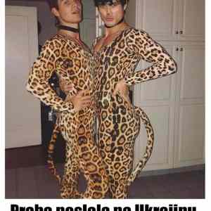 Obrázek 'leopardi na ukrajinu'