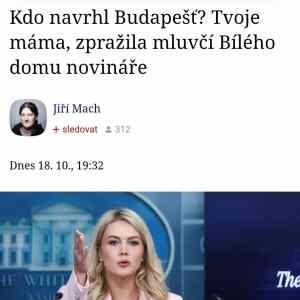 Obrázek 'lepsi mluvici nez Ovcacek'