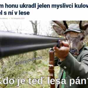 Obrázek 'lesa&nbsp;pan'