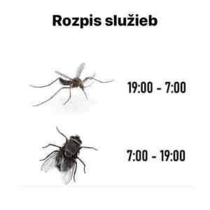 Obrázek 'letni rozpis sluzeb'