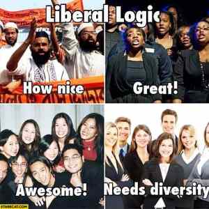 Obrázek 'liberal-logic-only-black-muslim-asian-people-in-the-picture-ok-only-white-peo...'
