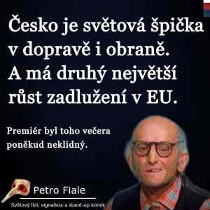 Obrázek 'lidr fialenkovic'