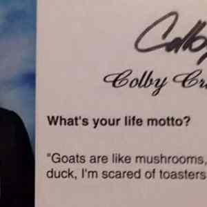 Obrázek 'life-motto-goats-mushroom'