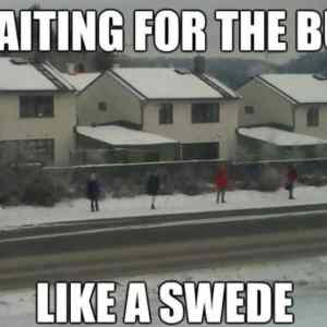 Obrázek 'like a swede'