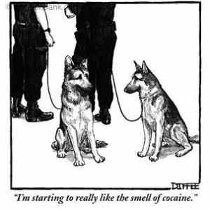 Obrázek 'like&nbsp;cocaine'