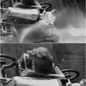 Obrázek 'lion-wall-of-death'