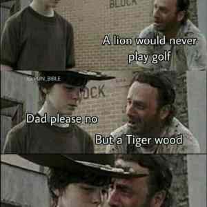 Obrázek 'lion&nbsp;play&nbsp;golf'