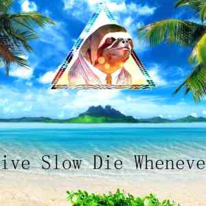 Obrázek 'live-slow-die-whenever800p'