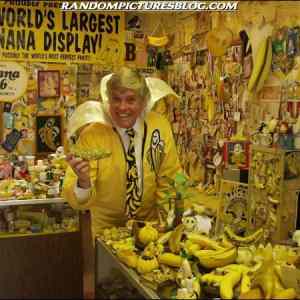 Obrázek 'living-in-a-banana-world'