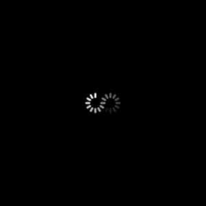 Obrázek 'loading'