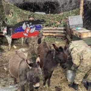 Obrázek 'logisticke&nbsp;centrum'