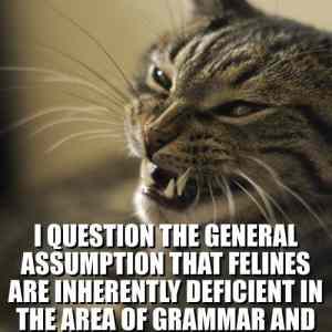 Obrázek 'lolcatspeak'