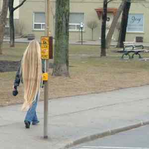 Obrázek 'long is long'