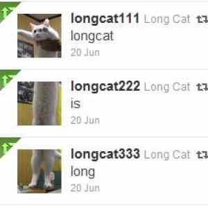 Obrázek 'longcat na twitteru'