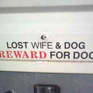 Obrázek 'lost wife'