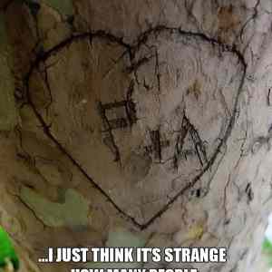 Obrázek 'lovers-names988'