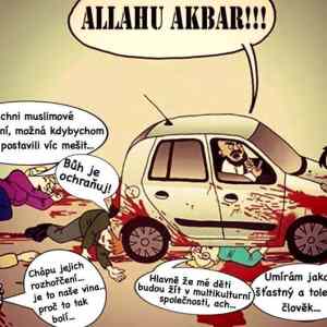 Obrázek 'm&nbsp;C3&nbsp;BCsli'