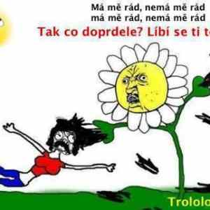 Obrázek 'ma me rad-nema me rad'