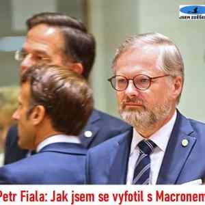 Obrázek 'macaron fialon'
