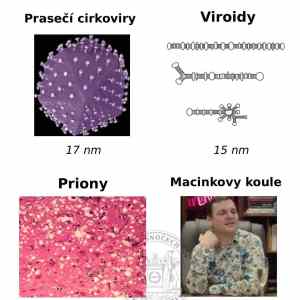 Obrázek 'macinkovy&nbsp;koule'