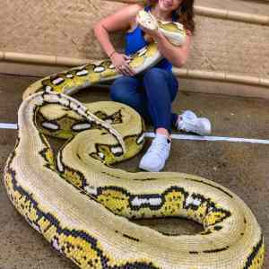 Obrázek 'mackej mi  hada'