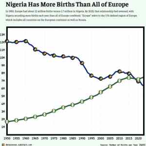 Obrázek 'make Nigeria great again'