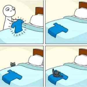 Obrázek 'mala cierna bestia'