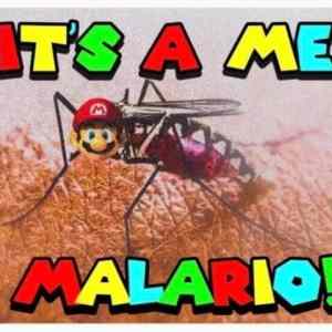 Obrázek 'malario'
