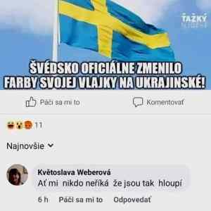 Obrázek 'malokdo vi ze predtim byla cernozluta'