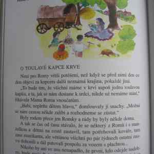 Obrázek 'mama roma'
