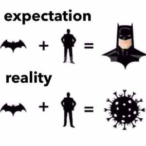 Obrázek 'man-plus-bat-expectation-reality'