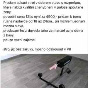 Obrázek 'manza je doma'