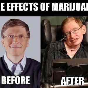 Obrázek 'marijuana not even once'